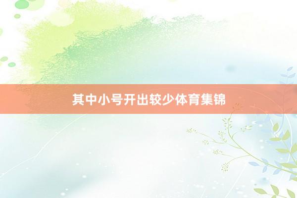 其中小号开出较少体育集锦