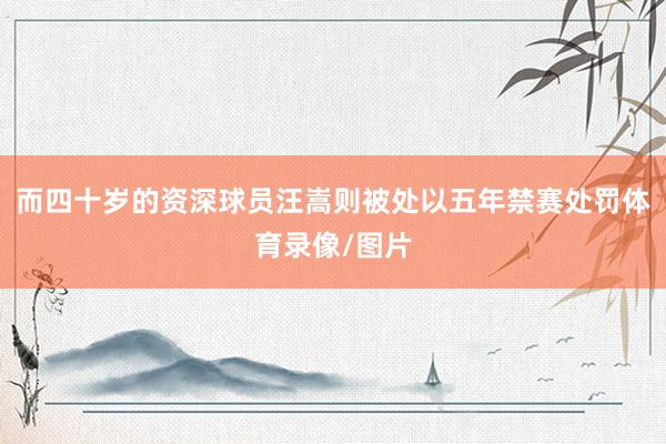 而四十岁的资深球员汪嵩则被处以五年禁赛处罚体育录像/图片