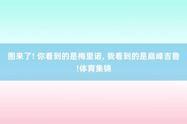 图来了! 你看到的是梅里诺, 我看到的是巅峰吉鲁!体育集锦