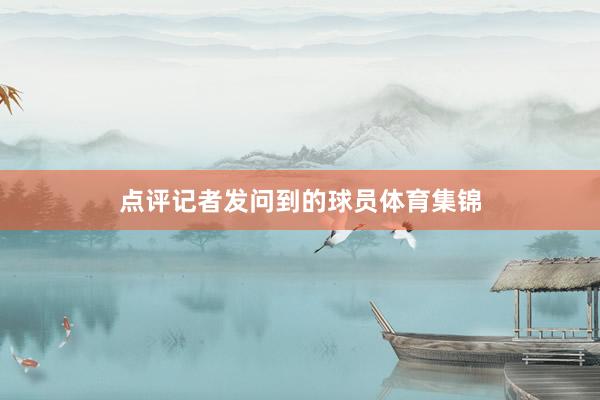 点评记者发问到的球员体育集锦