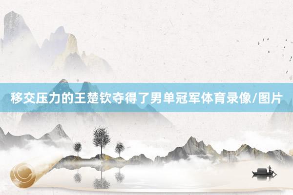 移交压力的王楚钦夺得了男单冠军体育录像/图片