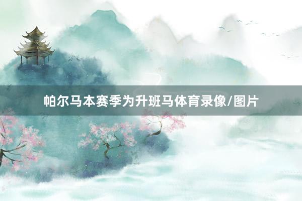 帕尔马本赛季为升班马体育录像/图片